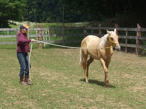 prvn� pr�ce s M�ou