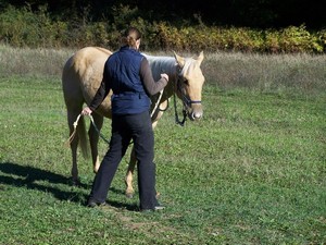 ustupov�n� p�edkem