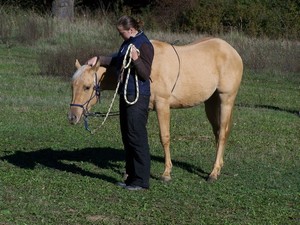 sni�ov�n� hlavy