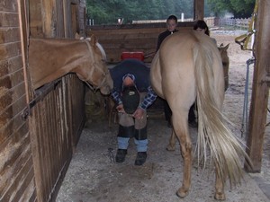 p�ijel se pod�vat kopyt��, Dianka ho kontroluje