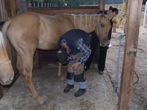 "Co mi to tam d�l�?"