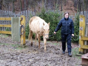 vedu si z vybehu pras�tko