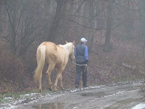 vyrazime na rann� prochajdu