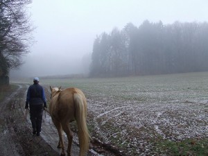 na rann� proch�zce