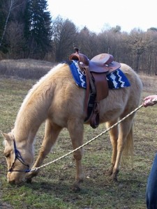 zkou�ka nov� zakoupen�ho sedla