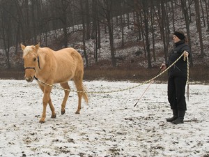 ani p�es zimu nesm�me zapomenout, co jsme se v l�te nau�ili
