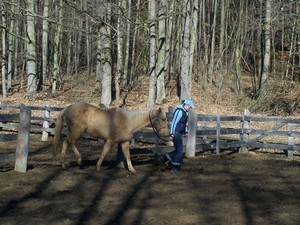 Nejprve je t�eba ulovit kon� ve v�b�hu. (03.02.2008)