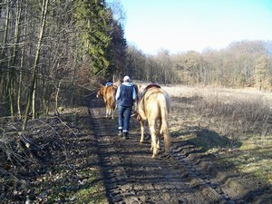 Odch�z�me na proch�zku. (03.02.2008)