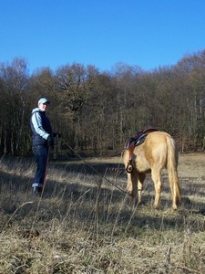 Paseme. (03.02.2008)