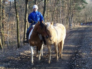 U��me se vodit ze sedla. (09.02.2008)