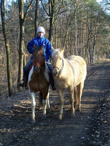 Br�kov�. (09.02.2008)