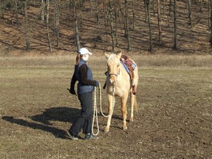 Opět osvěžení cviků, které už umíme. (10.02.2008)