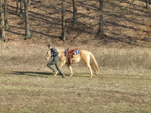 S pánečkem se krásně cválá. (10.02.2008)