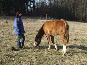Indík se zas flákal. (10.02.2008)