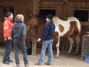 Miša při čištění a debatě (17.02.2008)