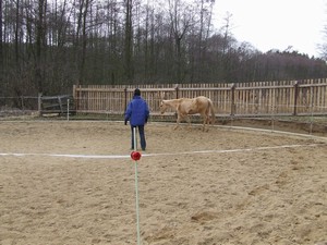 Denny a práce v kruhovce (17.02.2008)