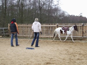 Shiny v kruhovce (17.02.2008)