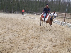 Miša pri tréninku (17.02.2008)