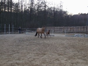 Sheila a Monty (17.02.2008)