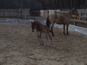 Sheila a Monty (17.02.2008)