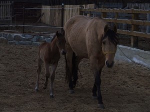 Sheila a Monty (17.02.2008)