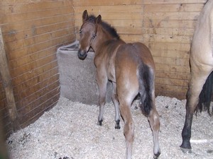 mal� Monty n�m roste (2.3.2008)