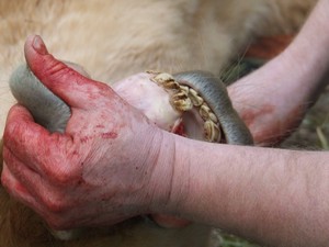 a u� je venku. Ur�ite bolel v�c, ne� kdy� tam ted nen� (4.3.2008)