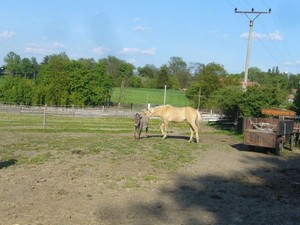 otravuje Mat�ska (12.05.2008)