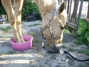 ...za malou �platu...(12.05.2008)