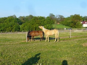 pokec s Lindou (12.05.2008)