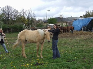 po 14 dnech jsme se kone�n� zase vid�li (01.05.2008)