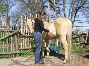 �i�t�n� (02.05.2008)