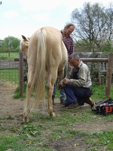 strouh�n� (02.05.2008)