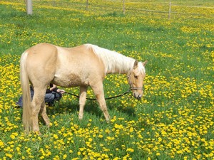 rozlou�en� pred odjezdem (03.05.2008)