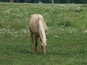 Denny zas vypad� o n�co l�pe.