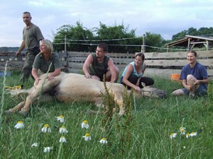 Aby ne, t�i drbali a �tvrt� d�val do huby tr�vu.