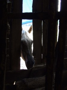 Denny v okynku, kde kouka na ostatni v p��st�e�ku