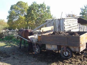 n�kte�� makaj�...