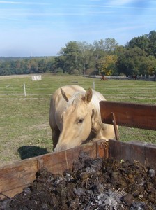 ...nekte�� se na ne d�vaj�.