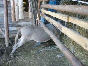 Mat�sek je �ikula!