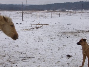 z o�� do o��