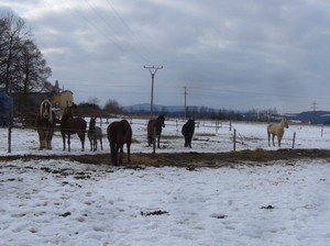 vid�te to? Kdo to tam je???