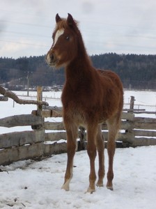 ...nov� sle�na...