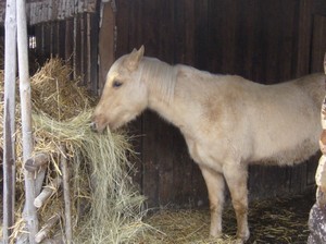 Dennyho zaujala jen na chvilku.