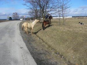 Nee nechci! (nakonec mu nic jin�ho nezbylo)