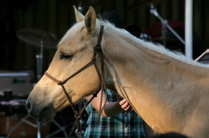 Noc snu s postizenymi(Zoo brno, foto Vratislav Hn�tek)