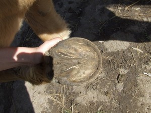 lev� p�edn� p�ed strouh�n�m