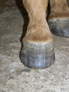 Prav� zadn� ( 03.10.2007 )