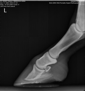 RTG Lev� p�edn� (07.04.2008)